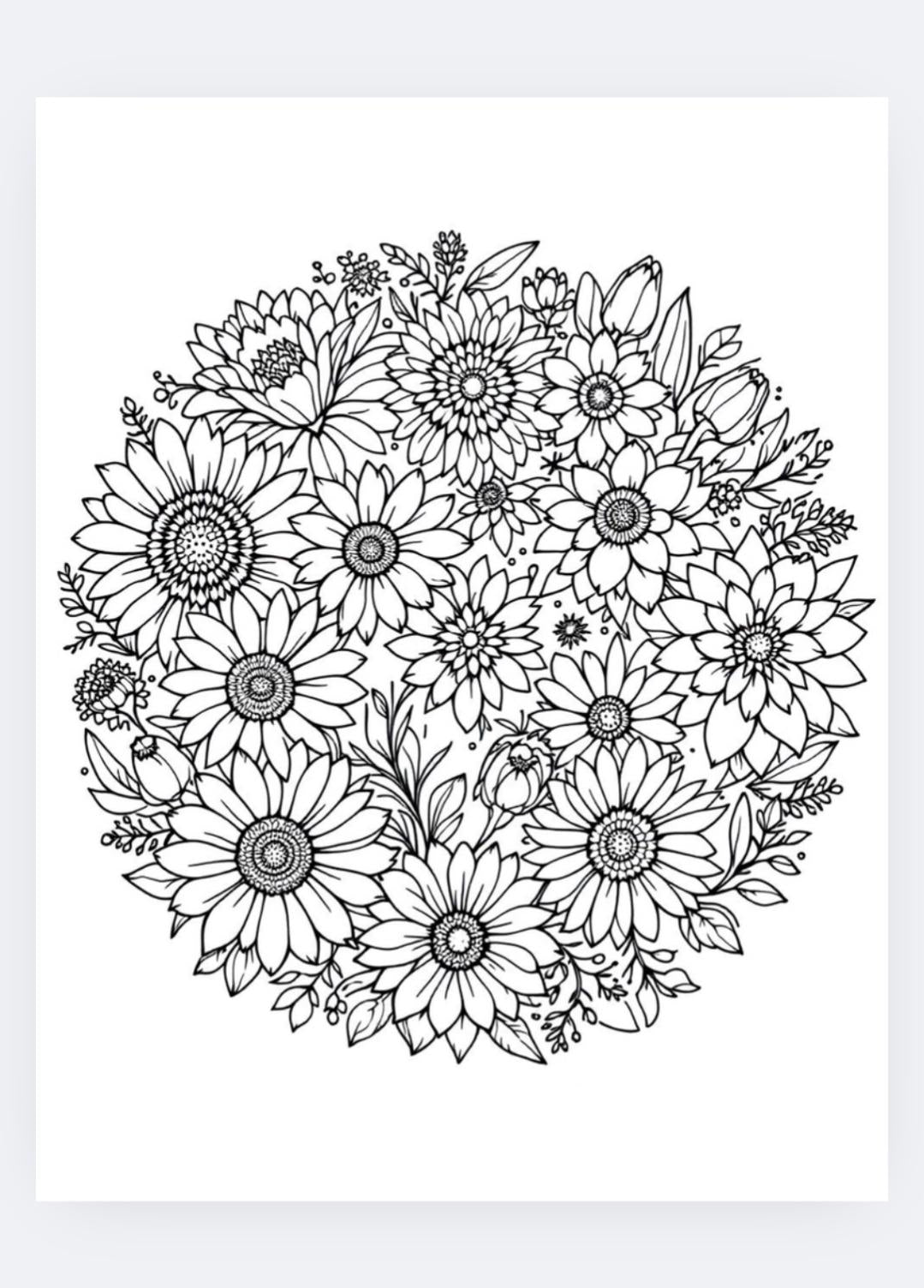 Intricate Floral Mandala Coloring Page: Stress Relief Art (PDF/PNG)